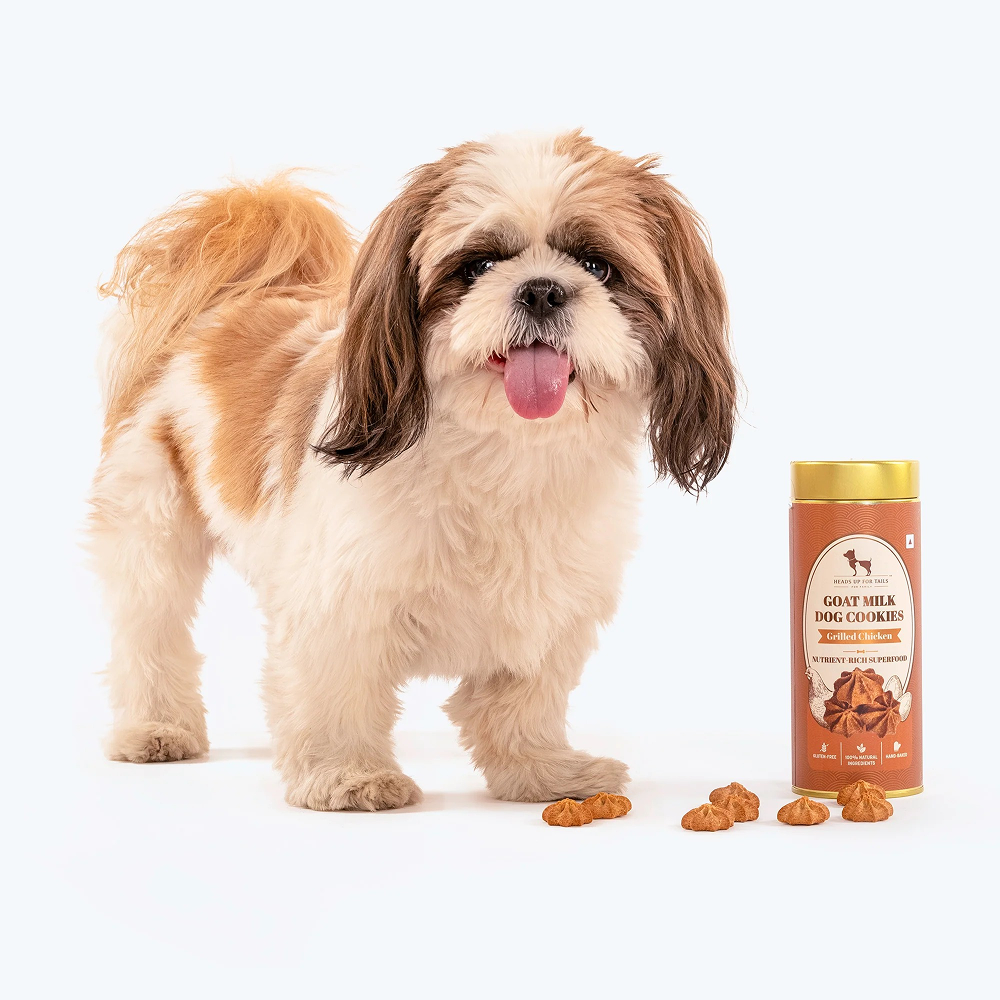 HUFT Gluten Free Goat Milk & Grilled Chicken Cookie Dog Treats image 8
