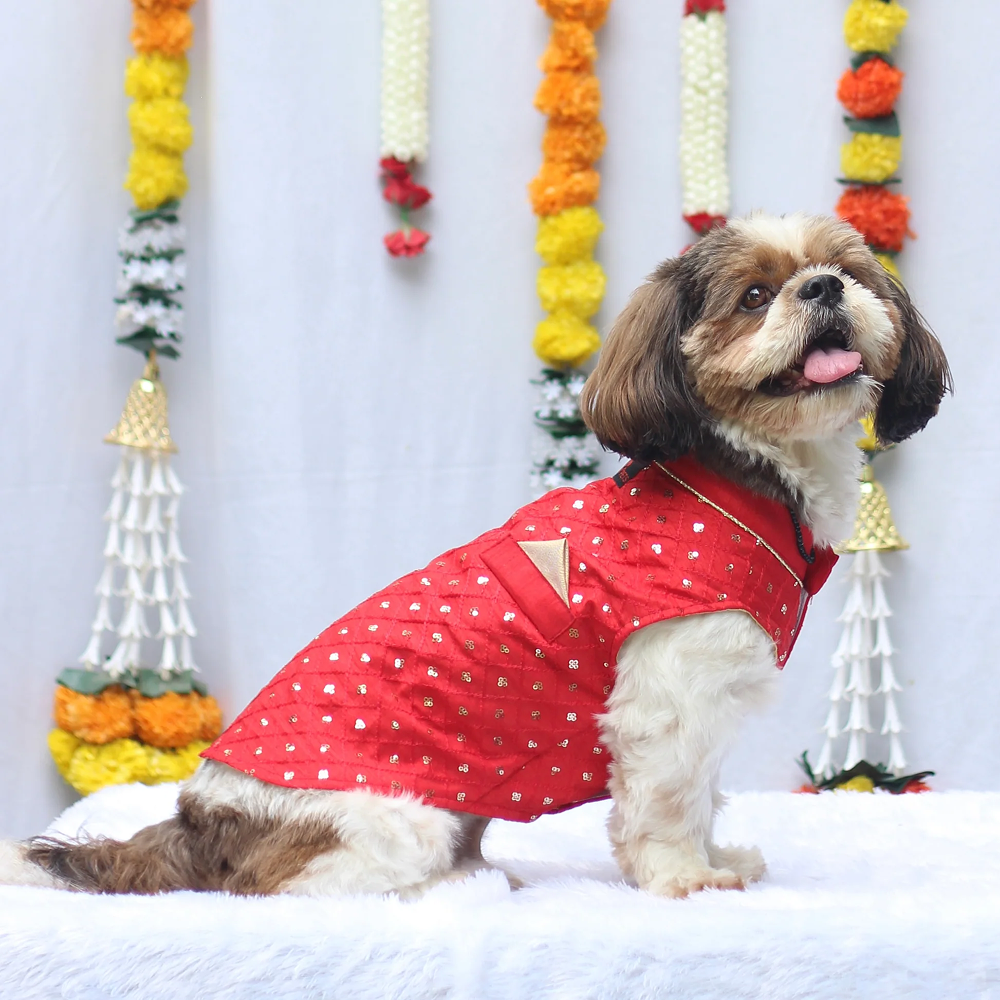 Pawgypets Festive Shahi Kurta for Dogs (Red) image 1