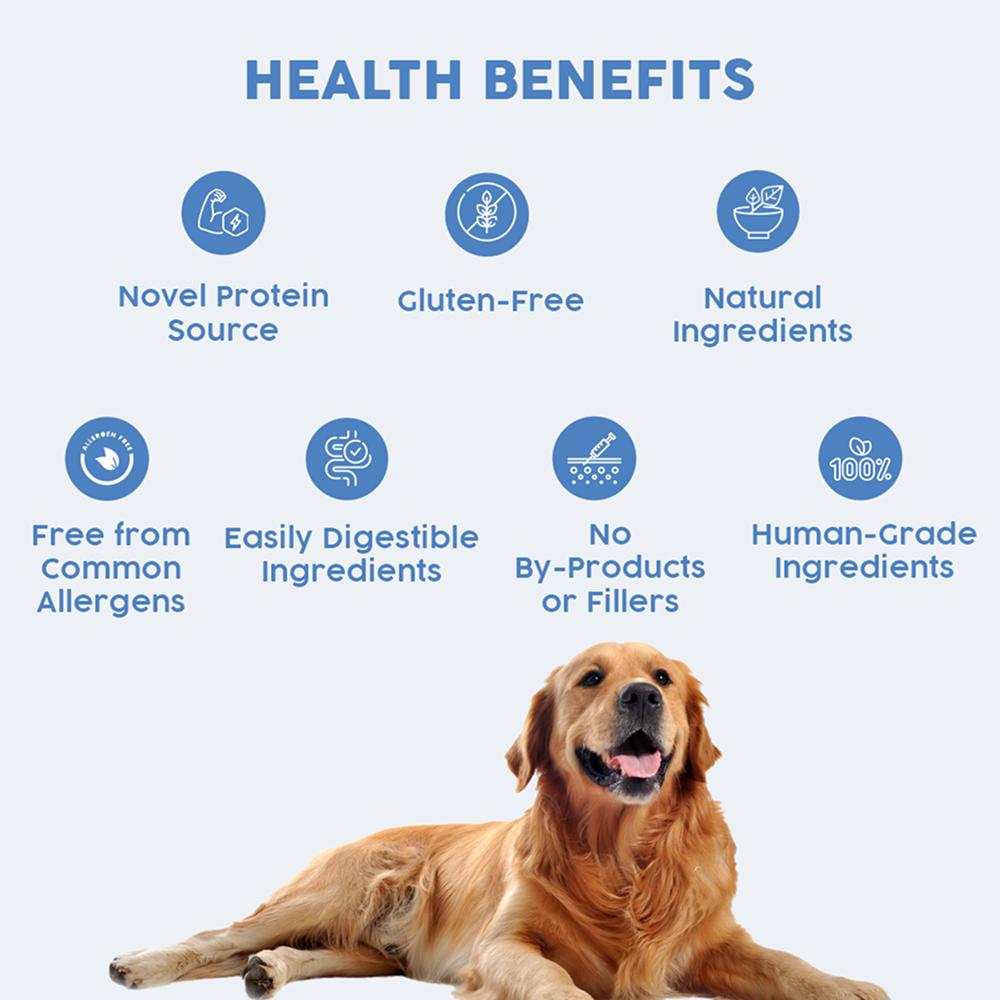 Benny's Bowl Hypoallergenic Diet to Prevent Allergies Dog Wet Food image 5