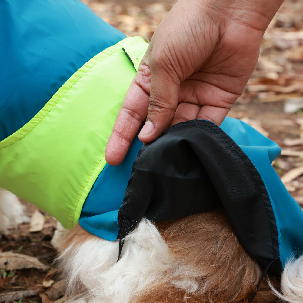 Pet Set Go Splash Waterproof Raincoat for Dogs (Neon Blue) image 6