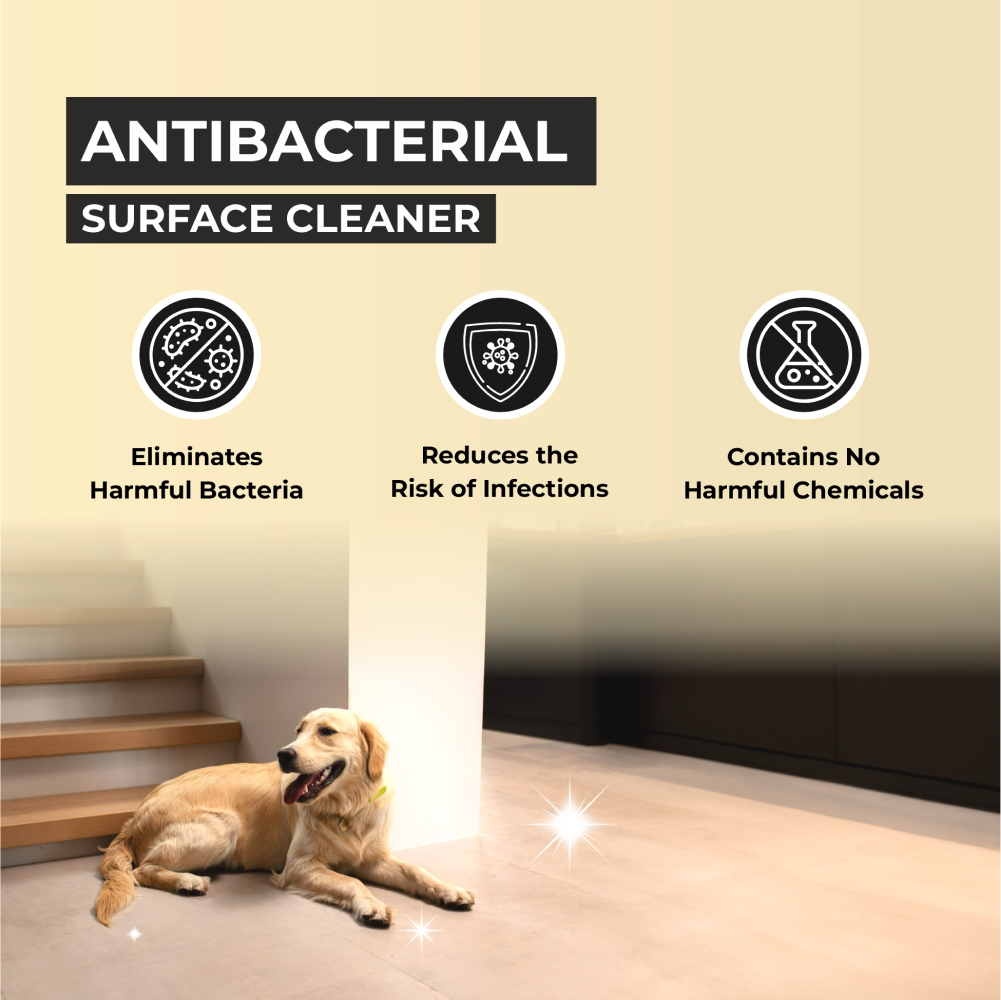 FurBall Story Petly Anti Microbial and Anti Bacterial Surface Cleaner image 2