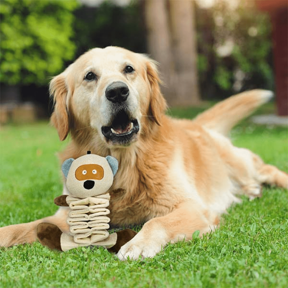 Pawsindia Enlarge the Teddy Toy for Dogs image 5