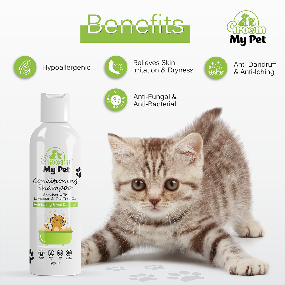 Groom My Pet Anti Itch & Dandruff Conditioning Shampoo for Cats image 2