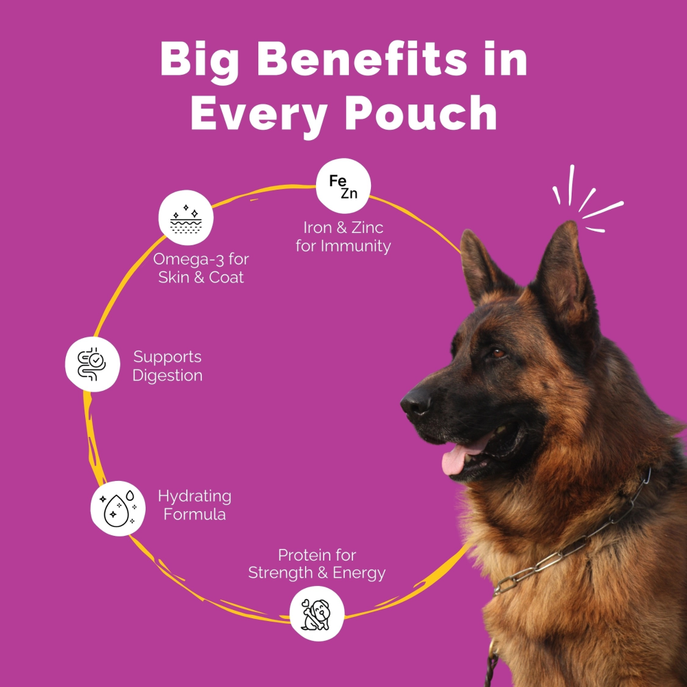 PetStrong Chicken Liver in Gravy Wet Food for Dogs image 6