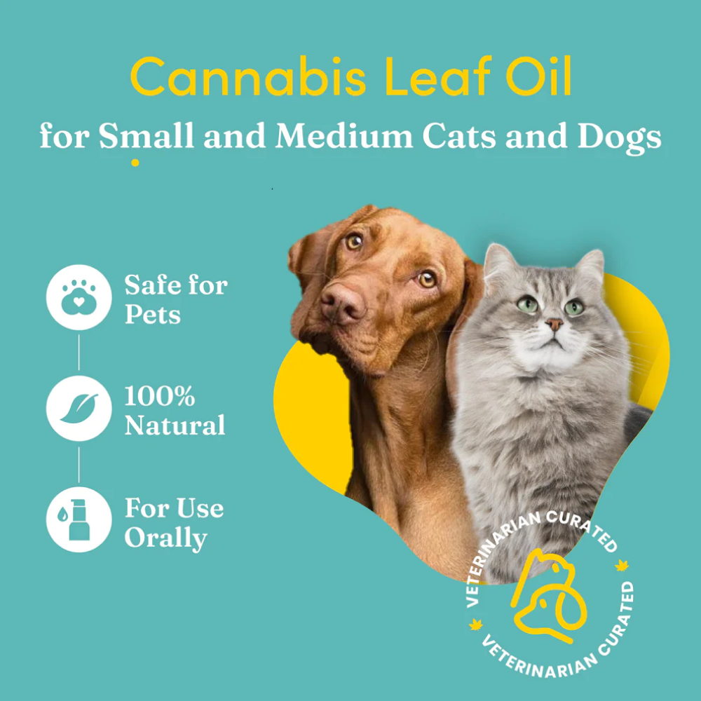 Vedic Tails Mild Cannabis Leaf Oil for Dogs and Cats image 4