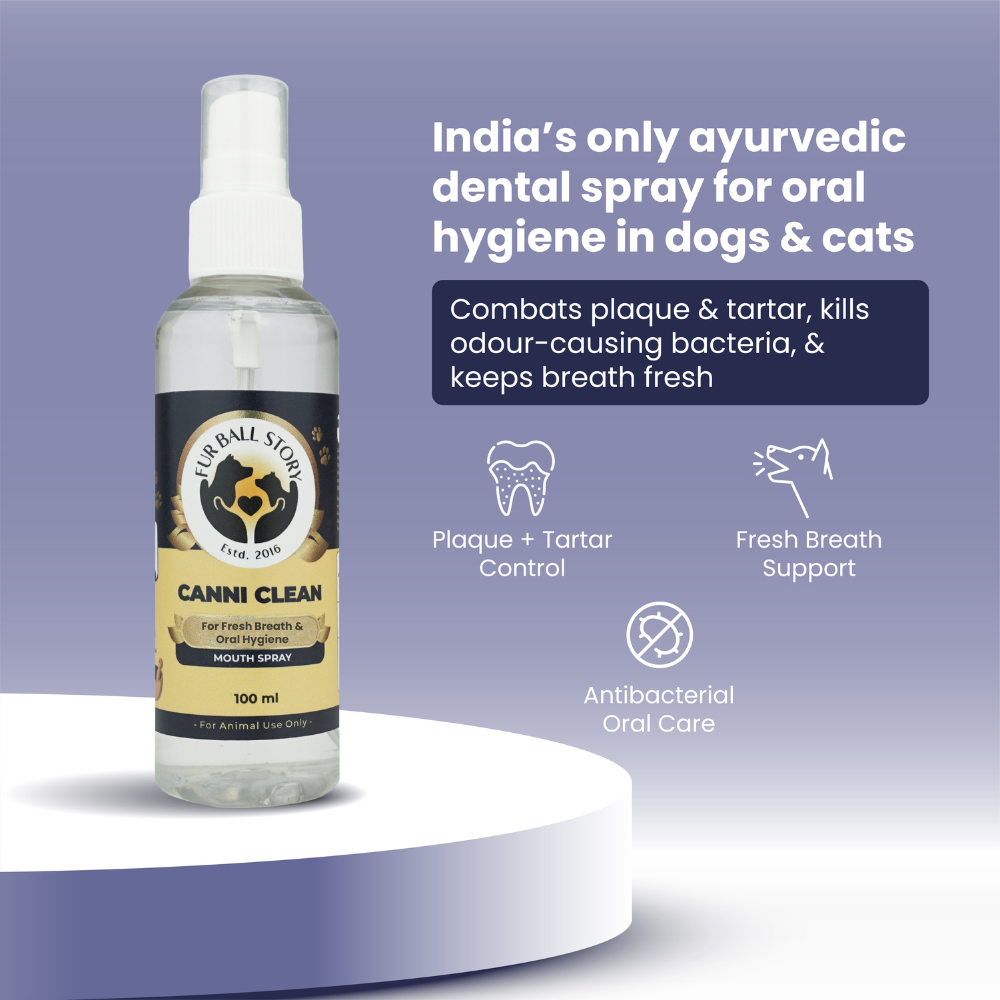FurBall Story Canni Clean Oral Hygiene Mouth Spray for Dogs and Cats image 6