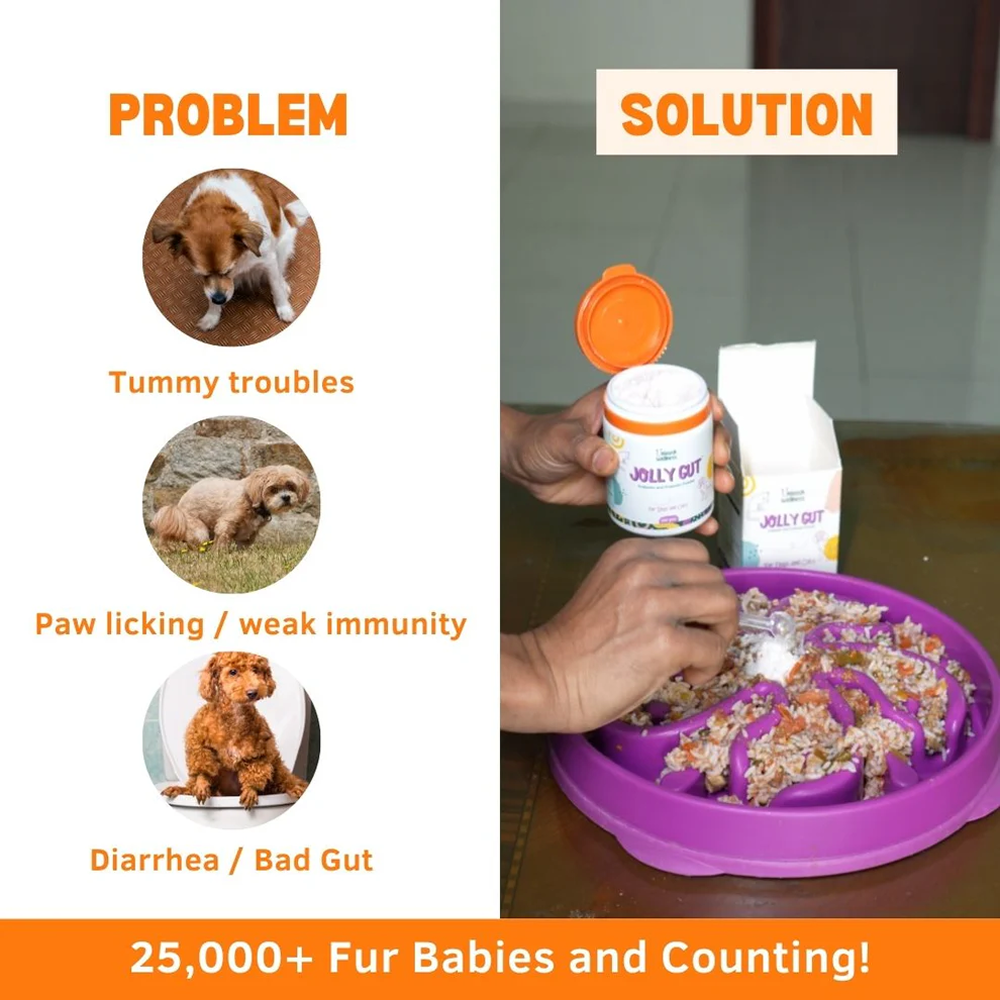 Unleash Wellness Jolly Gut Pre and Pro Biotic Supplement for Dogs and Cats image 2