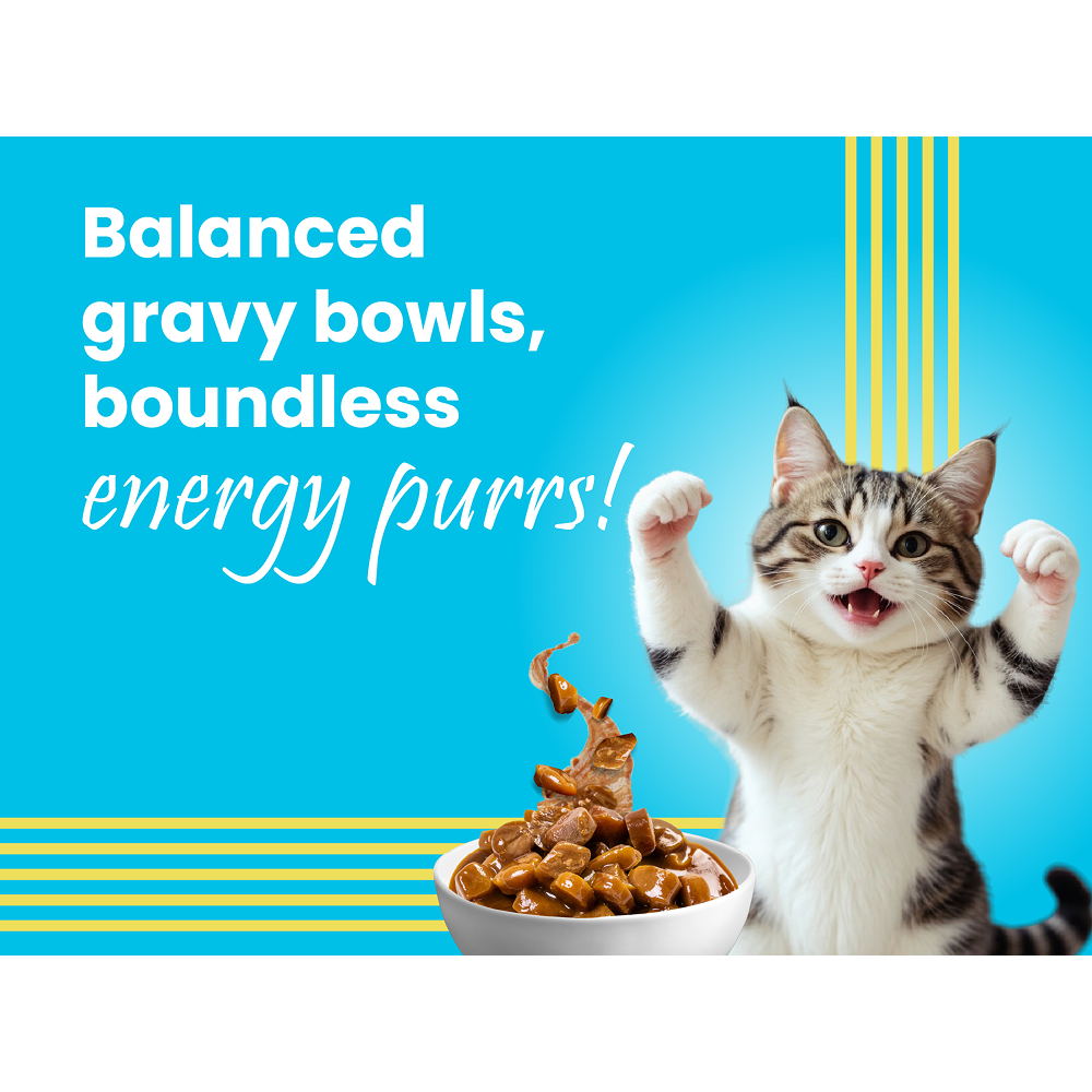 Bark Out Loud Mackerel & Duck Chunks Gravy Adult Cat Wet Food image 5