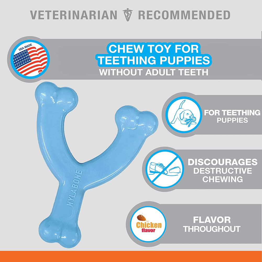Nylabone Puppy Teething Chicken Flavoured Wish Bone Chew Toy for Dogs (Blue) image 8