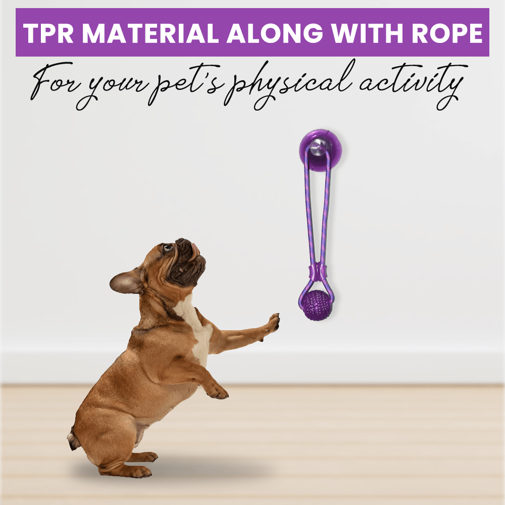 Basil Silicon Vacuum Cup with Rope & Ball Toy for Dogs and Cats | For Medium Chewers (Purple) image 3