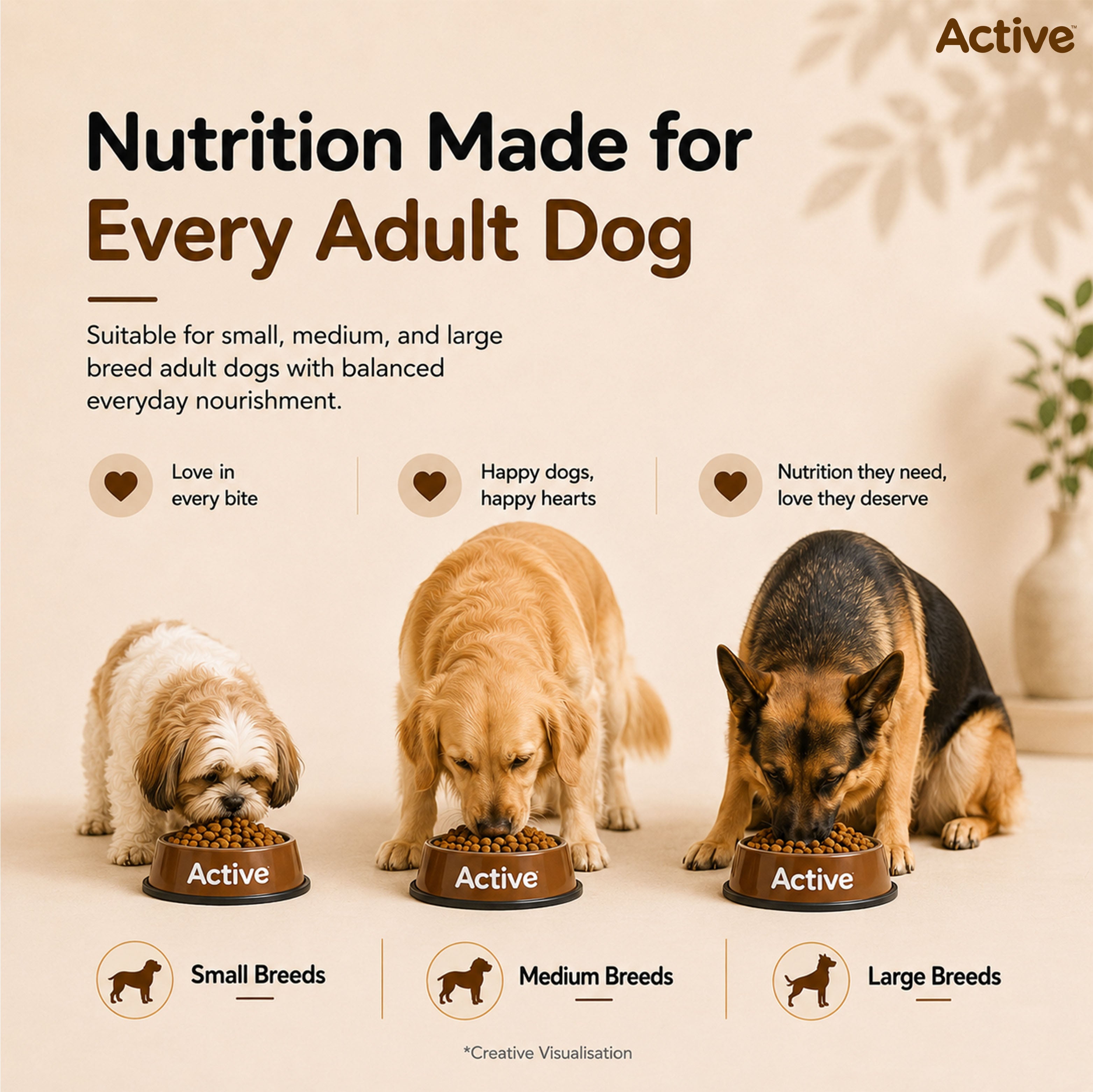 Active Meat and Rice Adult Dog Dry Food (Buy 1 Get 1) image 9