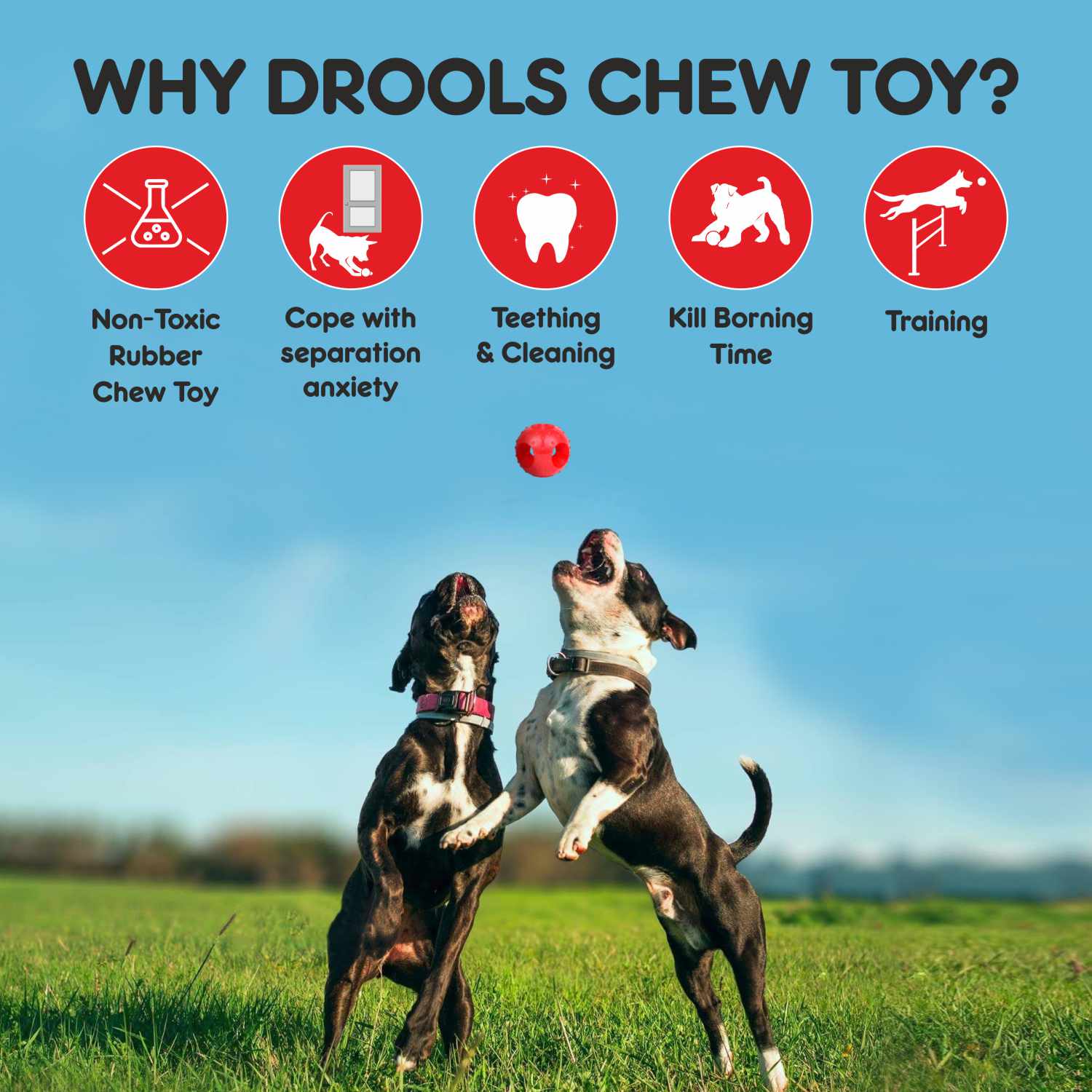 Drools Non Toxic Rubber Hole Ball Teething Toy for Puppies and Dogs | For Aggressive Chewers image 5