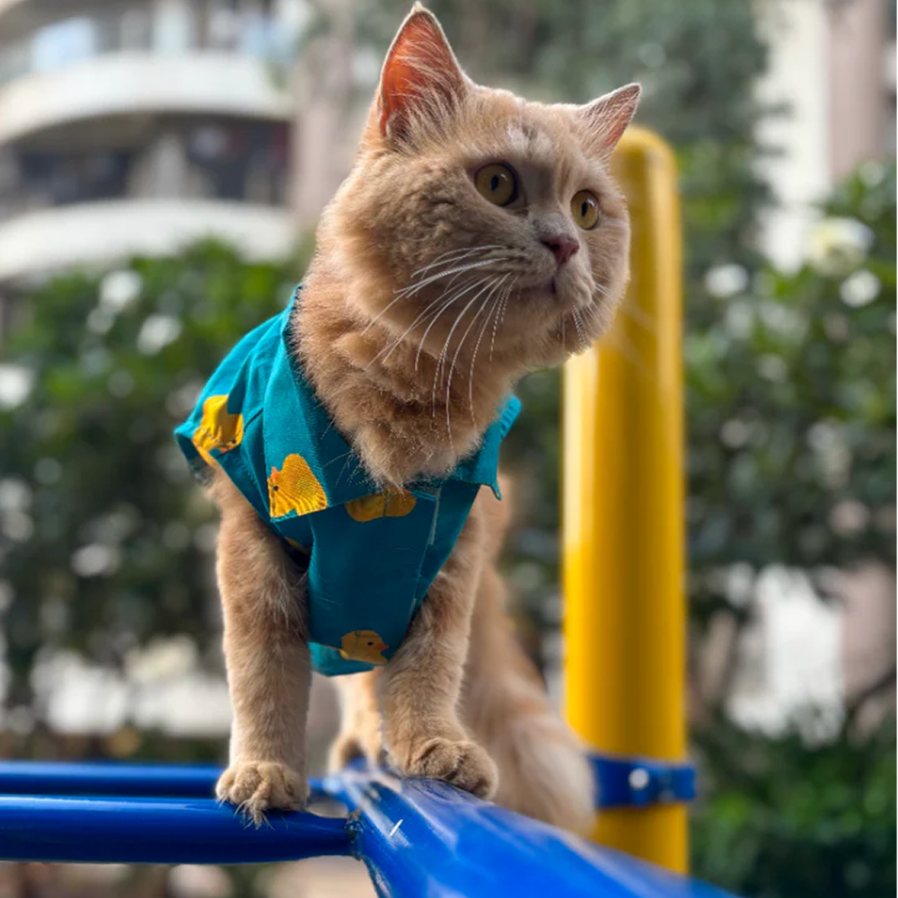 15 Furries Little Duckling Shirt for Cats (Green and yellow) image 1