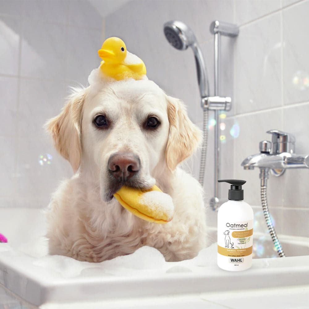 Wahl Oatmeal Lemongrass Sage Shampoo for Dogs image 8