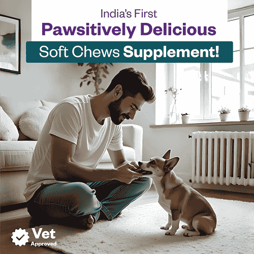 TailsAlive Calcium Chicken Flavor Soft Chews Supplements for Dogs image 2