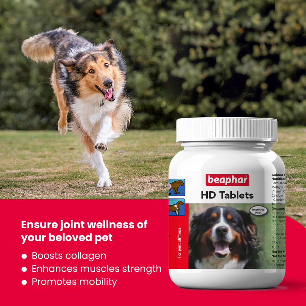 Beaphar HD Hip Dysplasia & Joint Problems Supplement Tablets for Dogs image 3