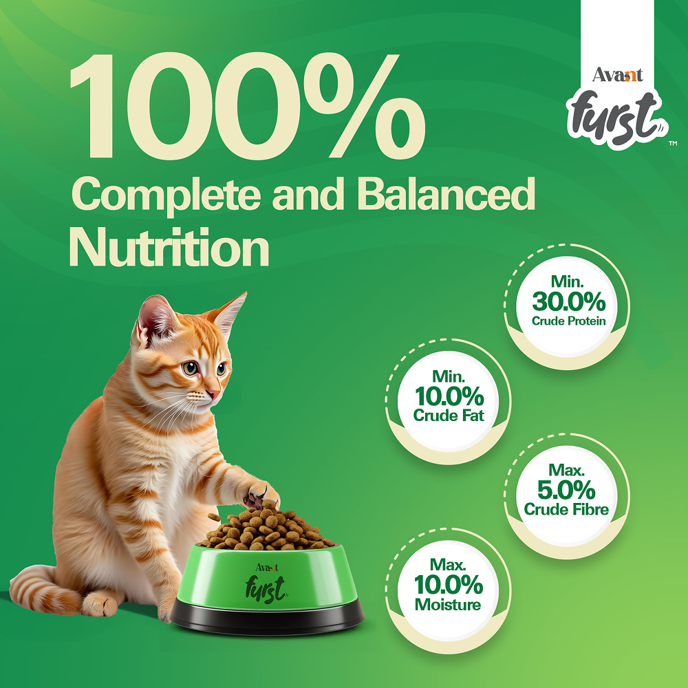 Avant Furst Tuna Fish Flavour Adult Cat Dry Food image 5
