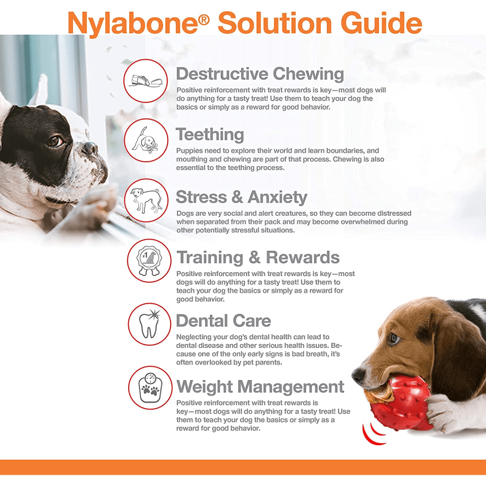Nylabone Chili Cheese,Buttered Popcorn and Cherry Slushy Flavoured Triple Power Chew Frenzy Bone Toy for Dogs (Yellow, Brown, Beige, Red) image 6