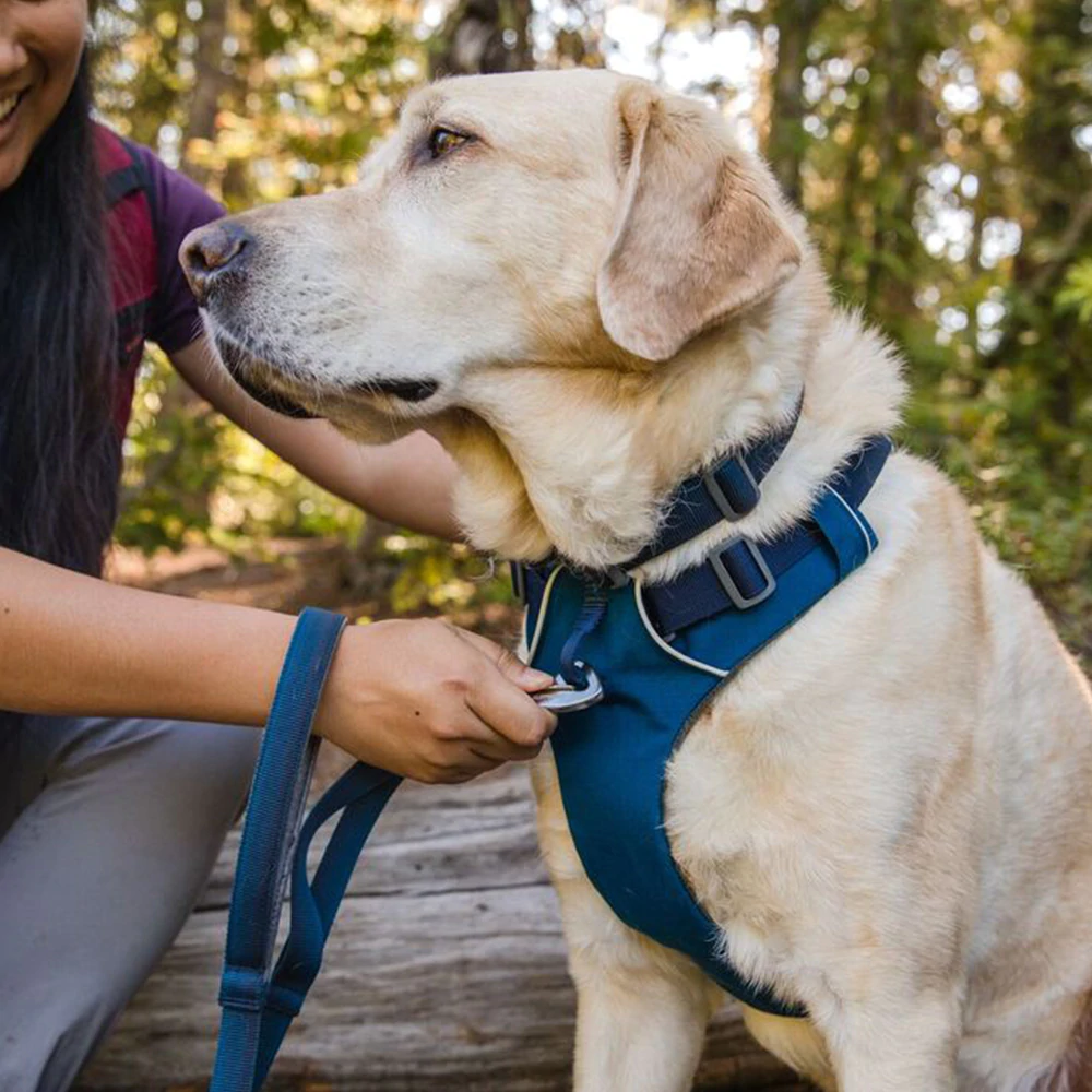 Ruffwear Front Range Harness for Dogs (Blue Moon) image 6
