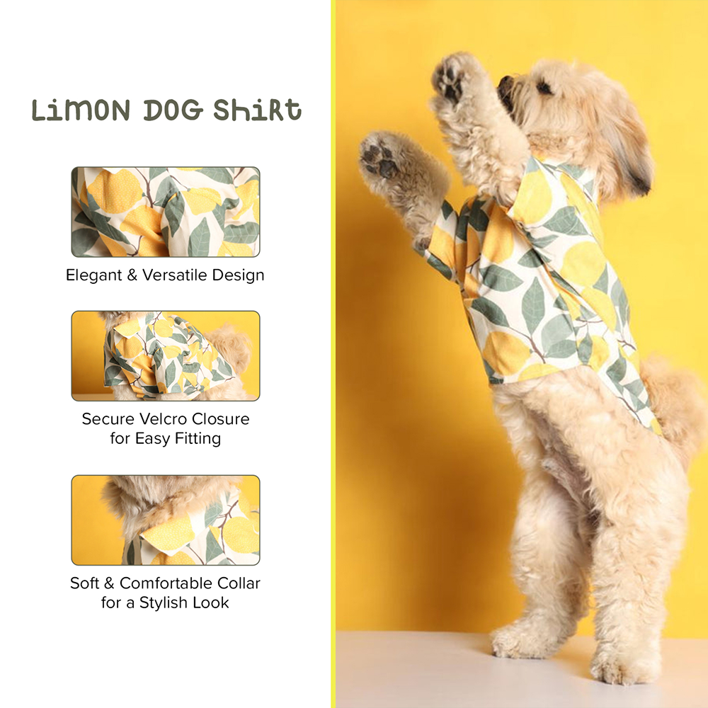 15buttons Limon Shirt for Dogs image 7