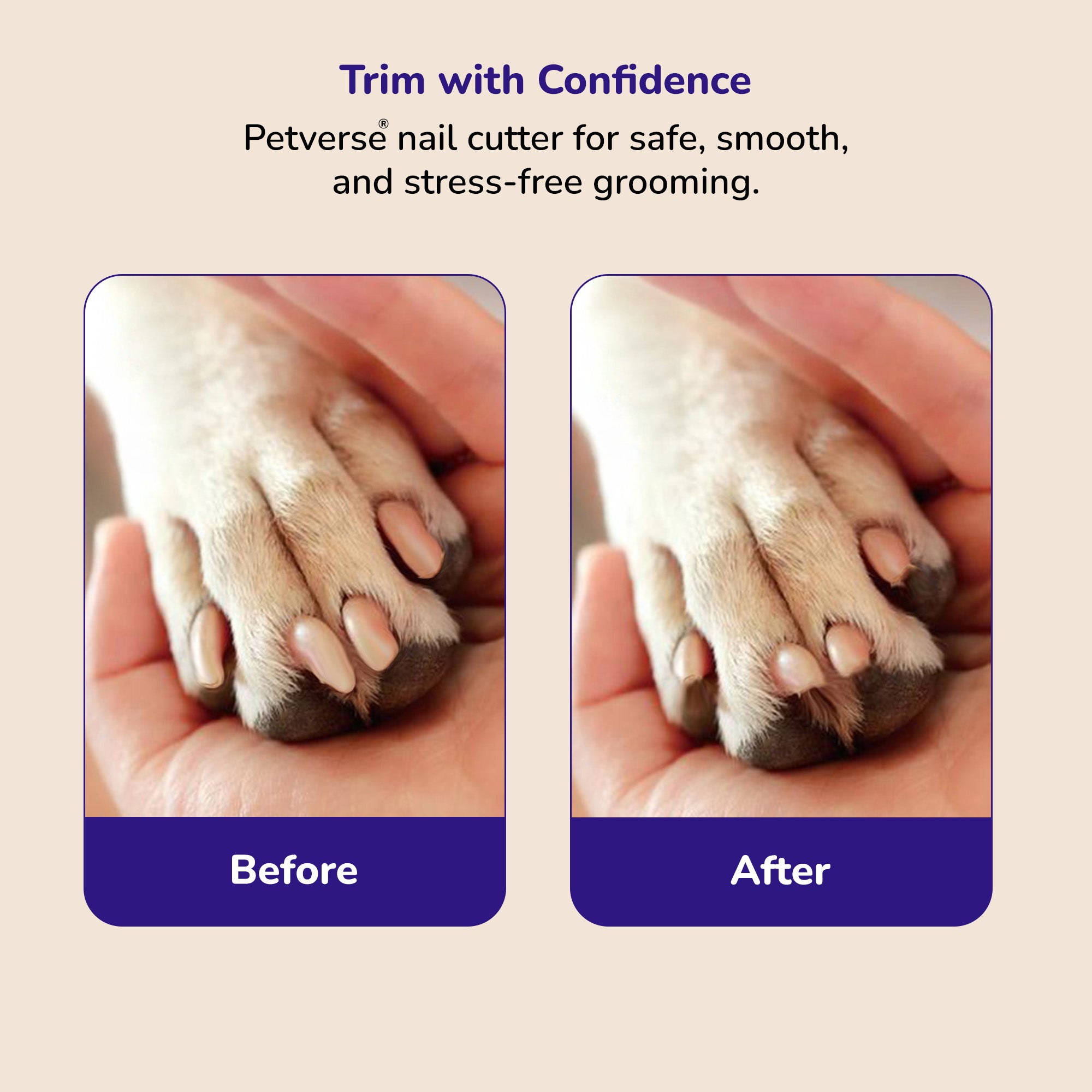 Petverse Built in Safety Guard & Integrated Nail File & Trimmer for Dogs ,Cats & Small Animals image 7