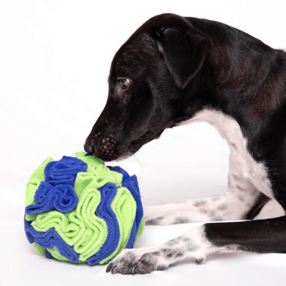 For The Love Of Dog Sniffer Ball Toy for Dogs (Pink/Orange) image 5