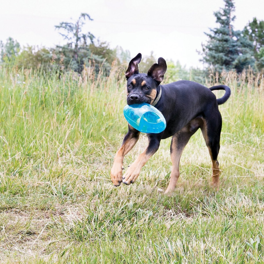 Kong Jumbler Football Toy for Dogs (Sea Blue) image 5