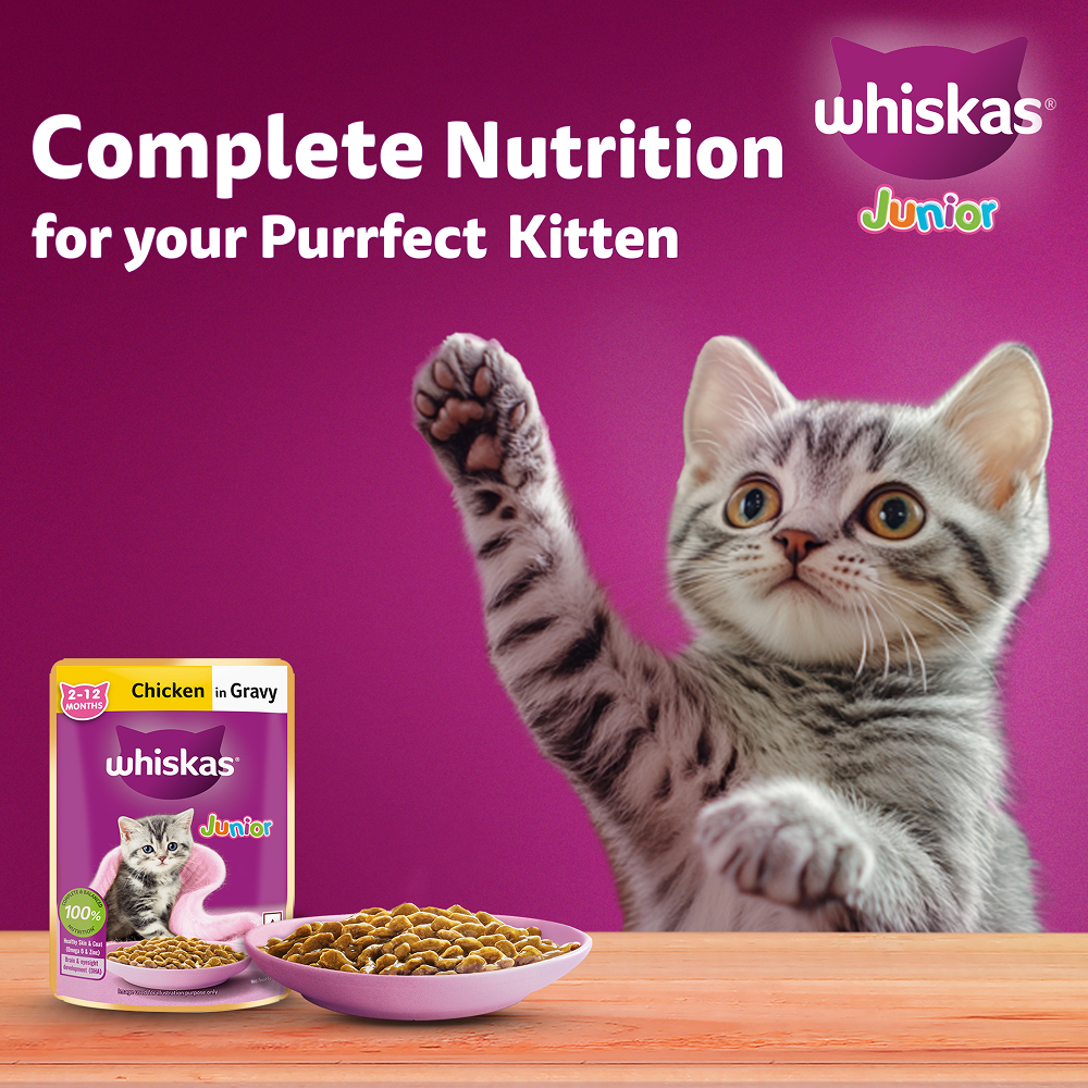 Whiskas Chicken in Gravy Meal Kitten Cat Wet Food image 9