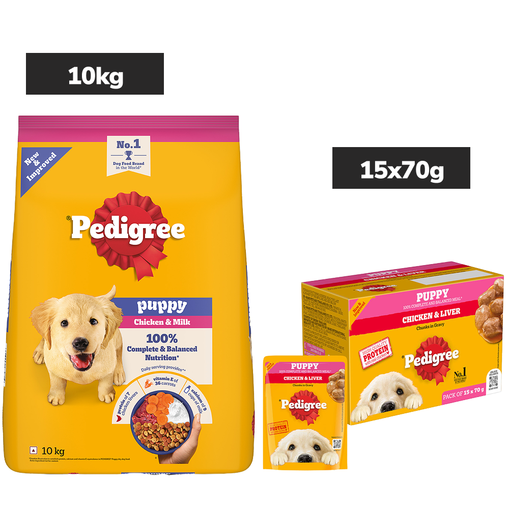 Pedigree Puppy Dog Food Combo |Chicken & Milk Dry & Chicken & Liver Wet image 3