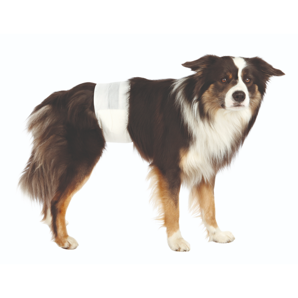 Trixie Disposible Diapers for Male Dogs (60x80cm) image 2