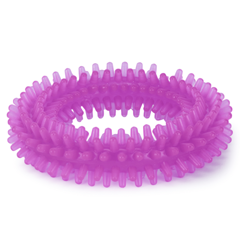 Basil Teething Ring Chew Toy for Dogs | For Medium Chewers image 3