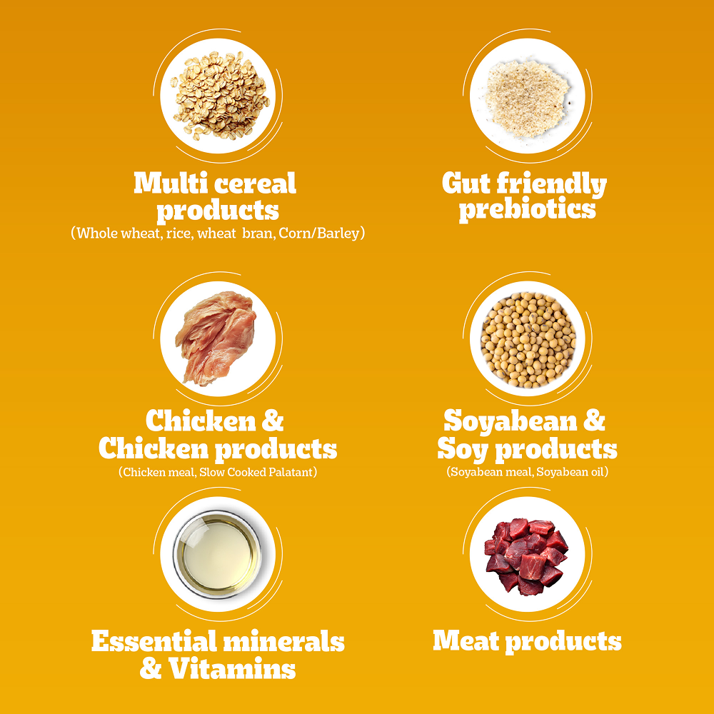 Pedigree Chicken Biryani Flavour Adult Dog Dry Food image 9