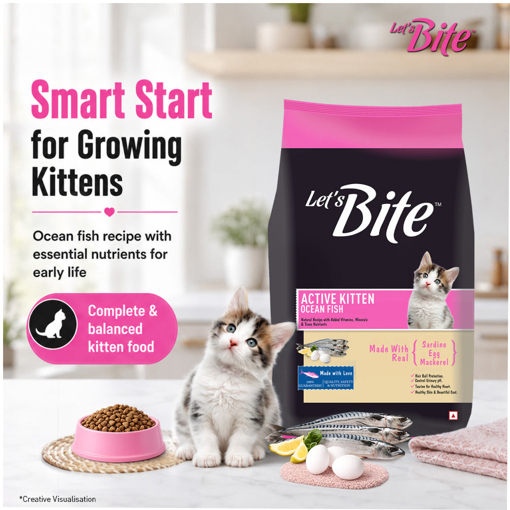 Let's Bite Active Kitten Ocean Fish Cat Dry Food (Buy 1 Get 1 Free) image 3