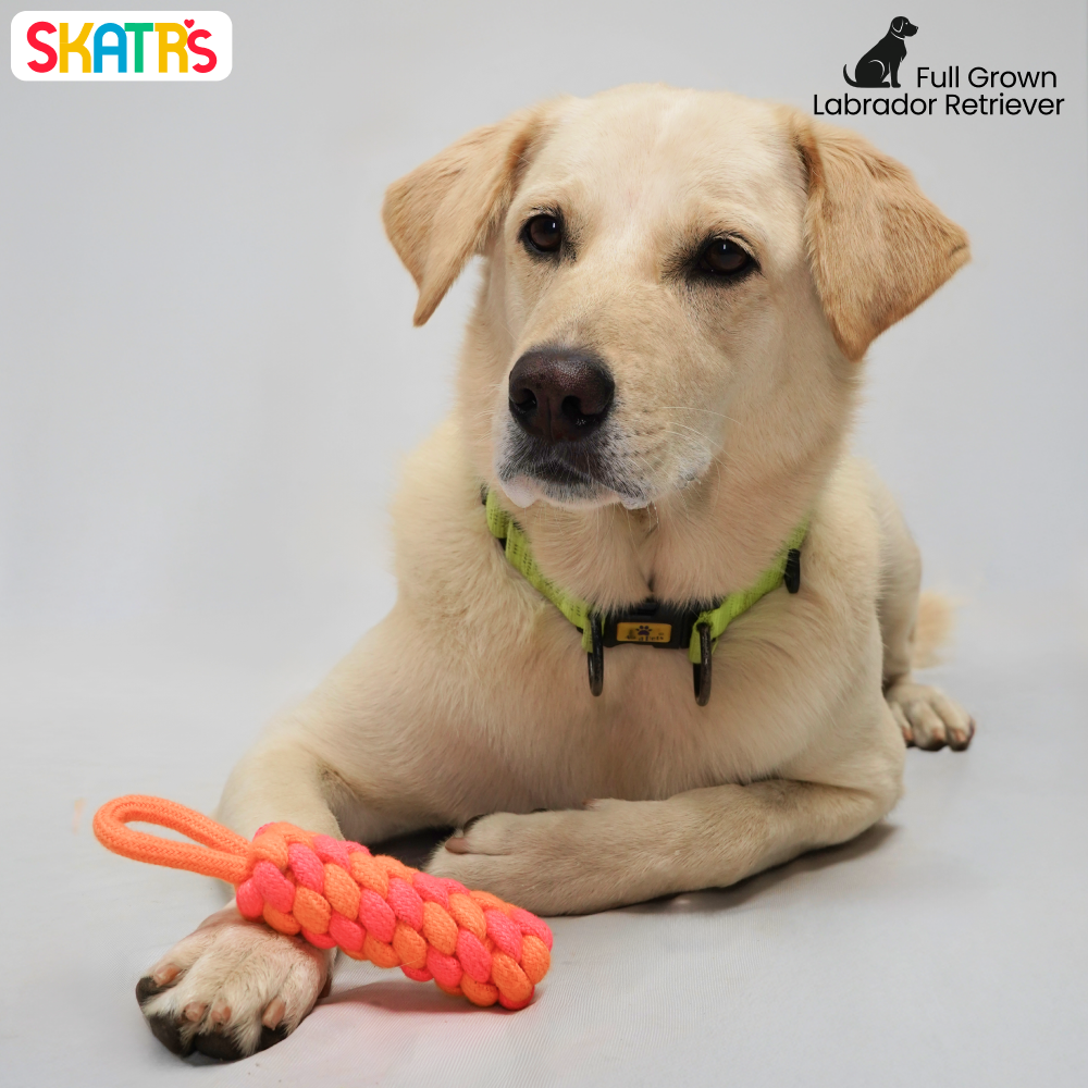 Skatrs Dummy Knotted Rope Chew Toy for Dogs and Cats (Pink/Orange) image 4