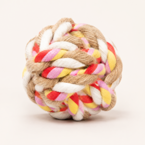 Skatrs Ball Toy for Cats