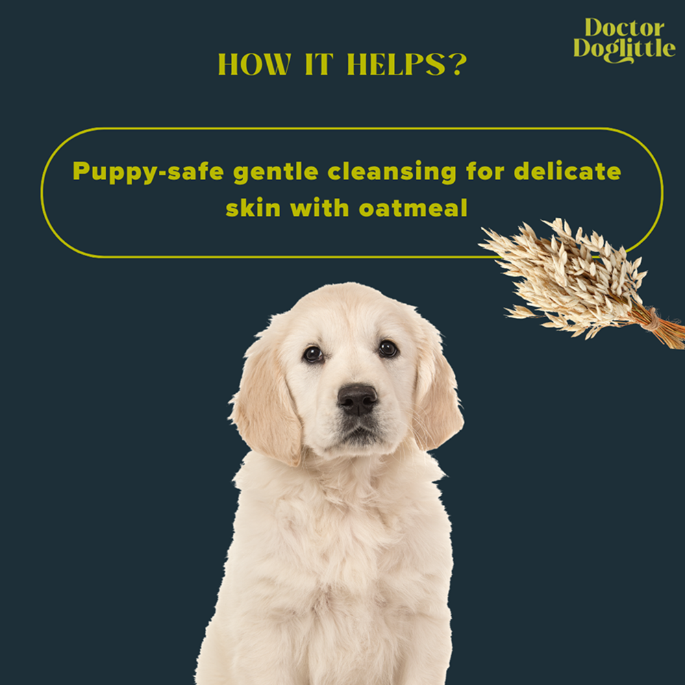 Doctor Doglittle Probiotic Sensitive Skin 2 in 1 Shampoo Conditioner for Dogs image 7