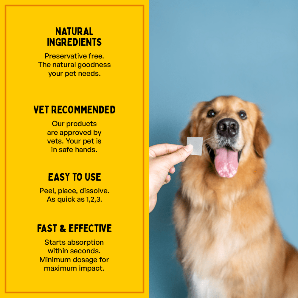 Furlicks Calming Aid for Cats and Dogs image 3
