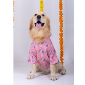 15 Furries Utsav Kurta for Dogs