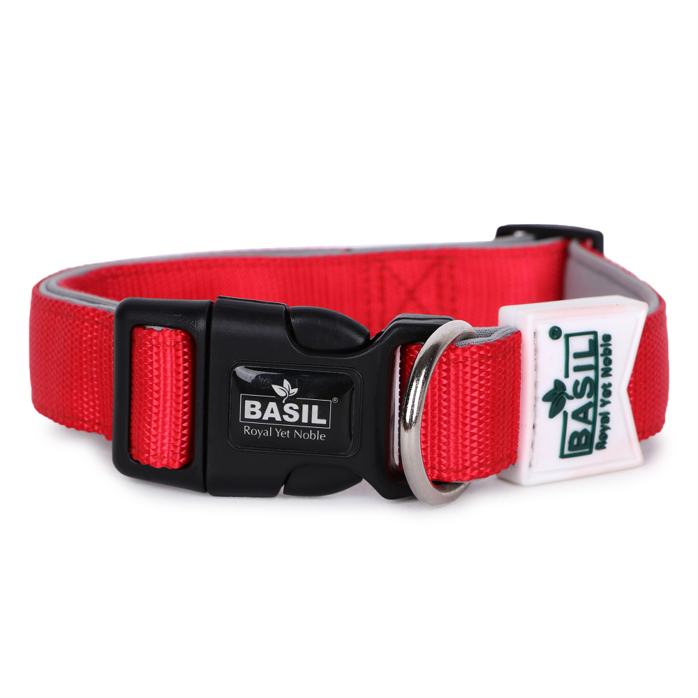 Basil Nylon Padded Collar for Dogs (Red) image 5