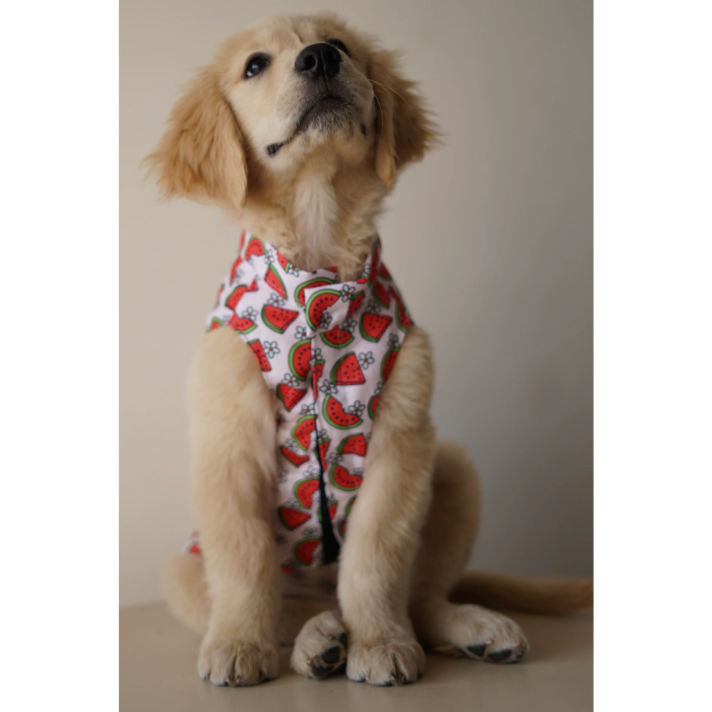 Pawgypets Daisy Melon Sando for Dogs (Pink) image 2