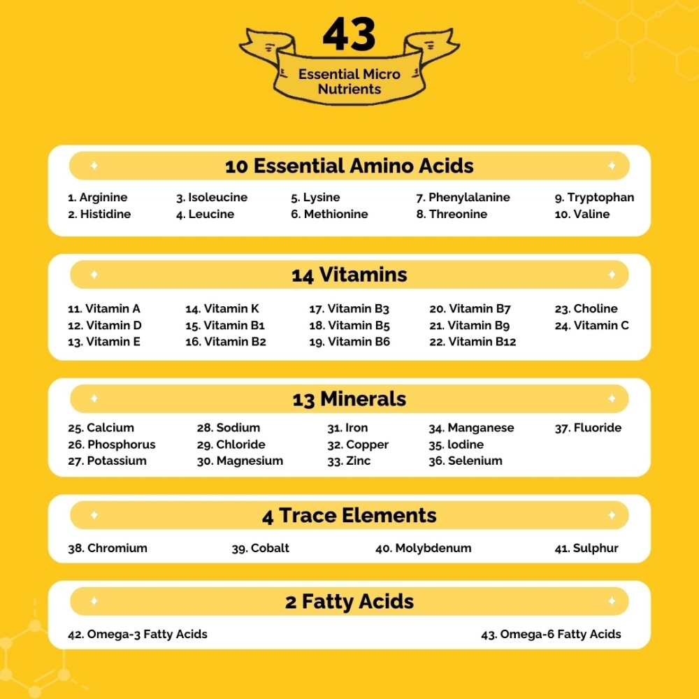 PetStrong Chicken and Rice Fresh Food and 2.2  Meal Protein Booster for Dogs Combo image 5