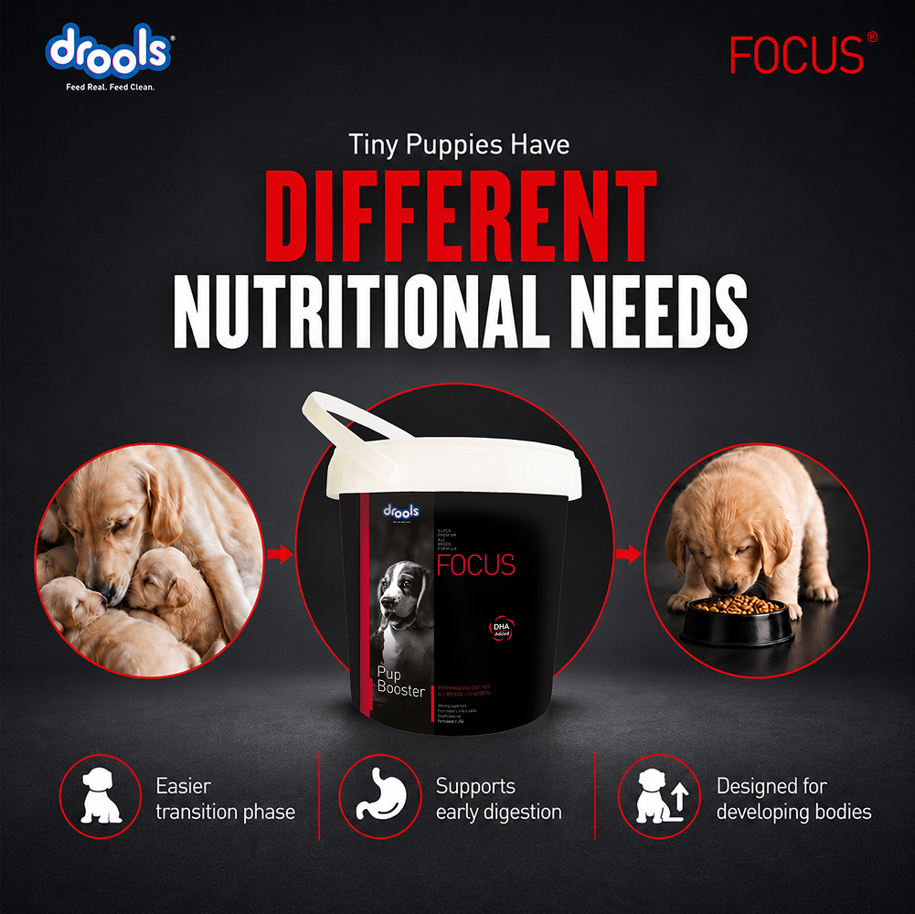 Drools Focus Pup Booster Puppy Weaning Diet for All Breeds (300g) image 3