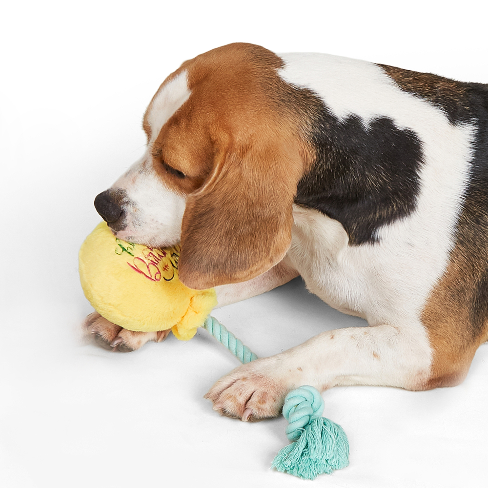 Barkbutler x Fofos Birthday Balloon Plush Toy for Dogs image 8