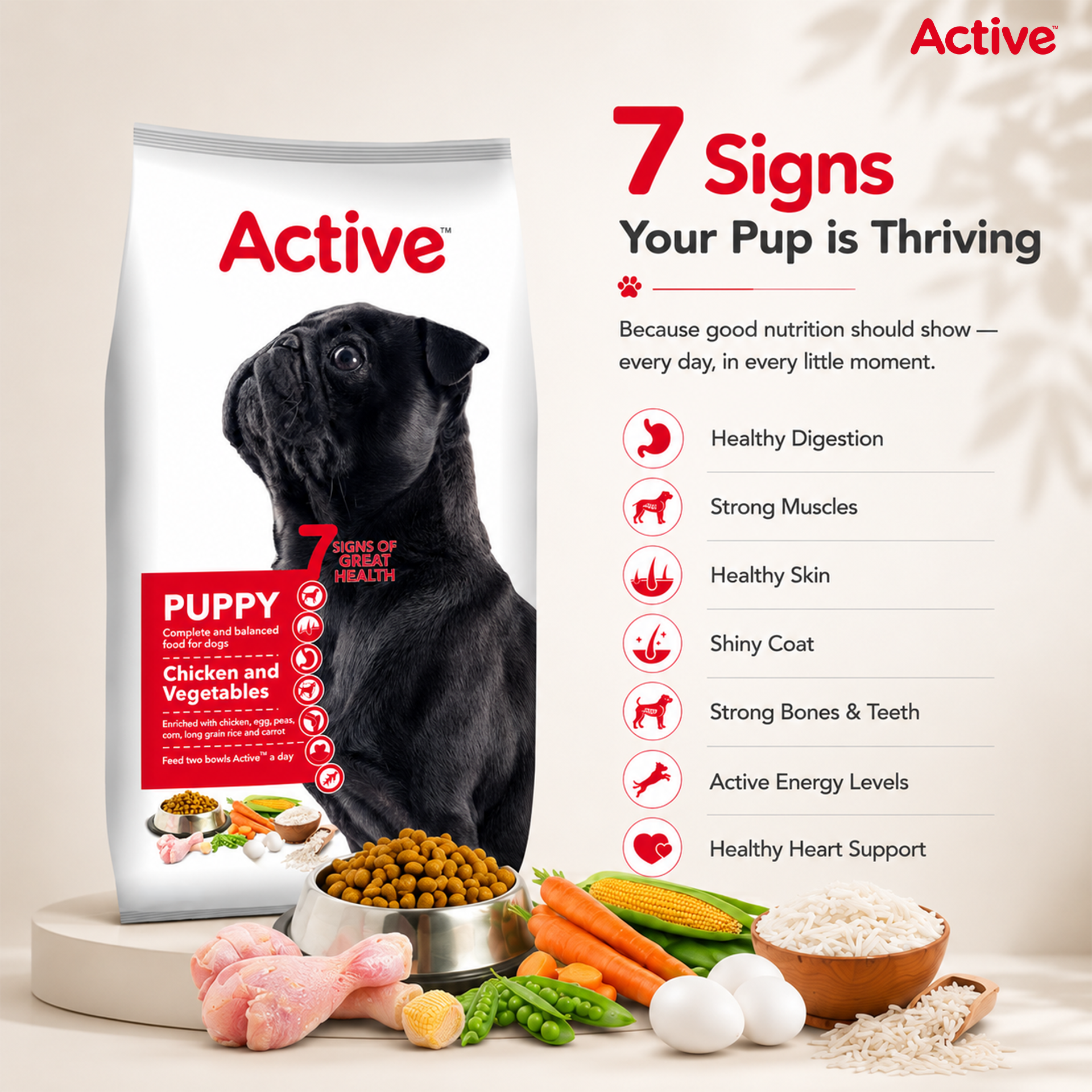 Active Chicken and Vegetables Puppy Dog Dry Food (Buy 1 Get 1) image 3