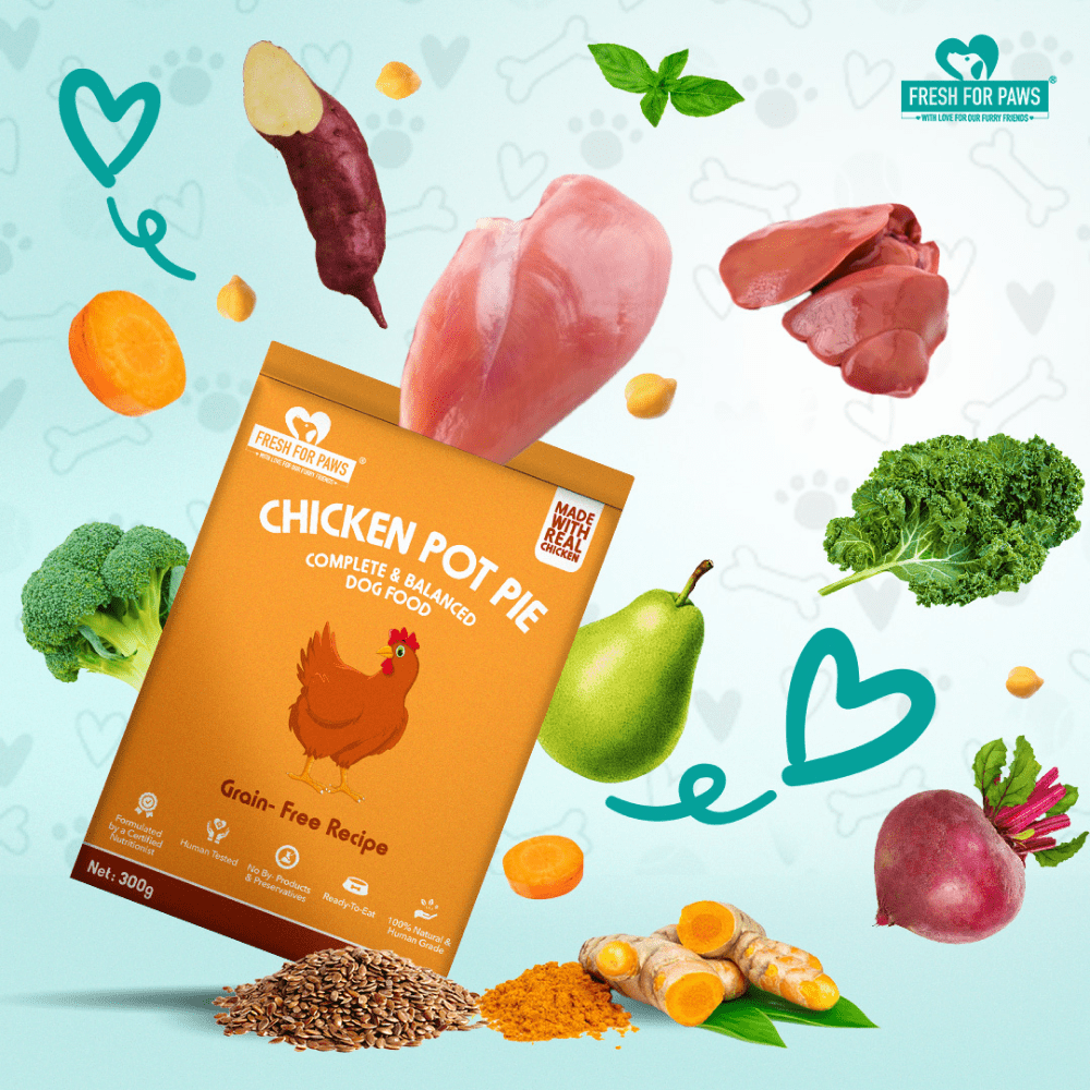 Fresh For Paws Chicken Pot Pie Wet Food for Dogs (300g) image 3