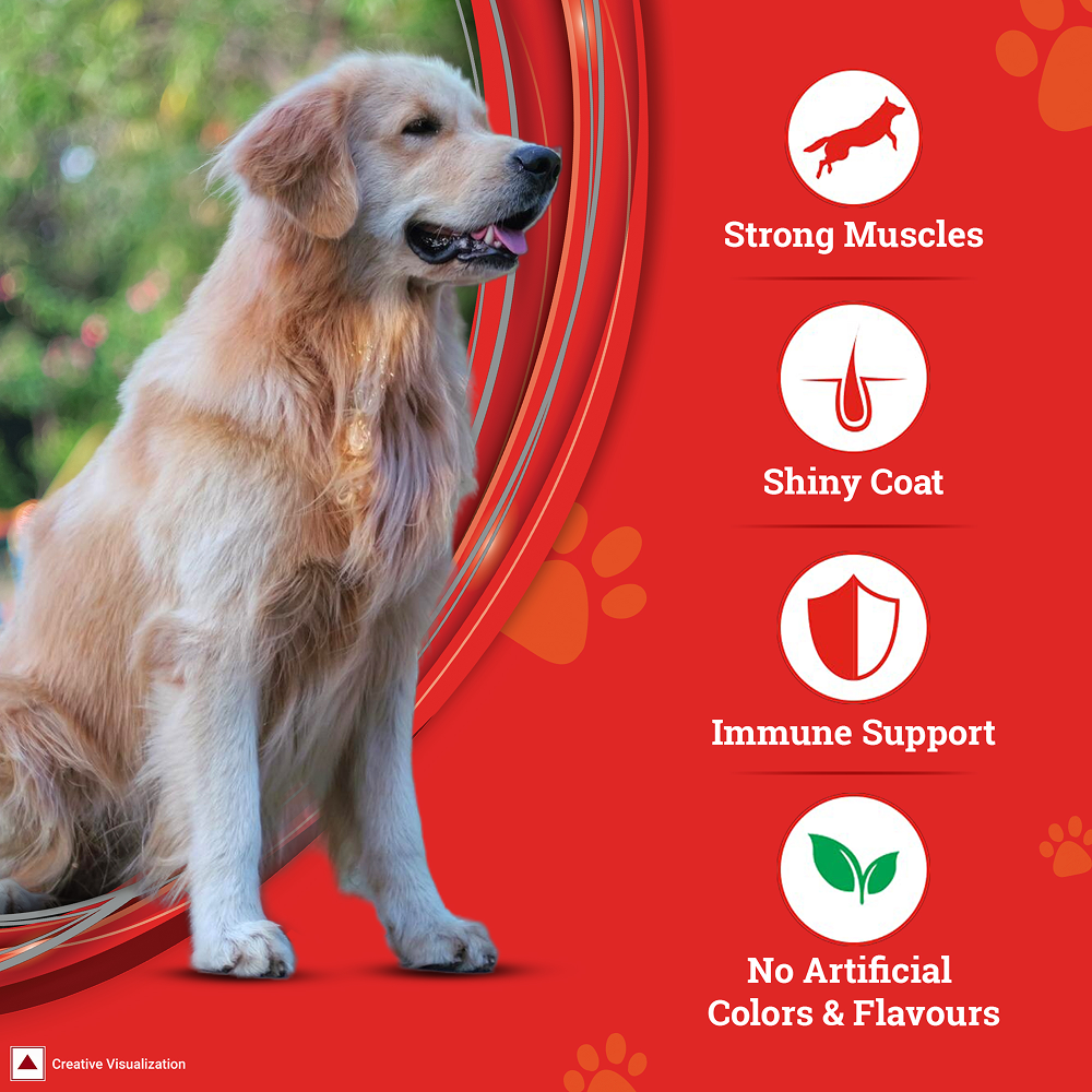 Purina SuperCoat Chicken Adult All Breed Dog Dry Food image 6