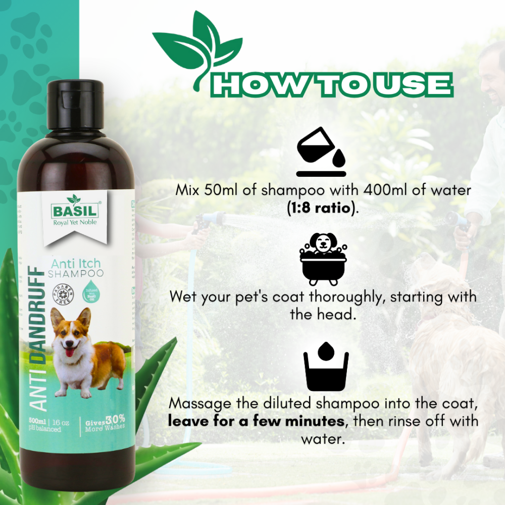 Basil Anti Dandruff & Anti Itch Shampoo for Dogs and Cats image 2