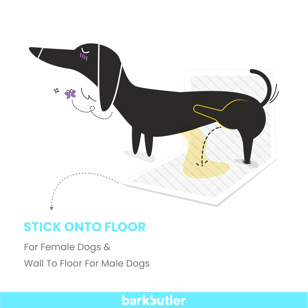 Barkbutler x Fofos Training Pad for Dogs (60x90cm) image 4