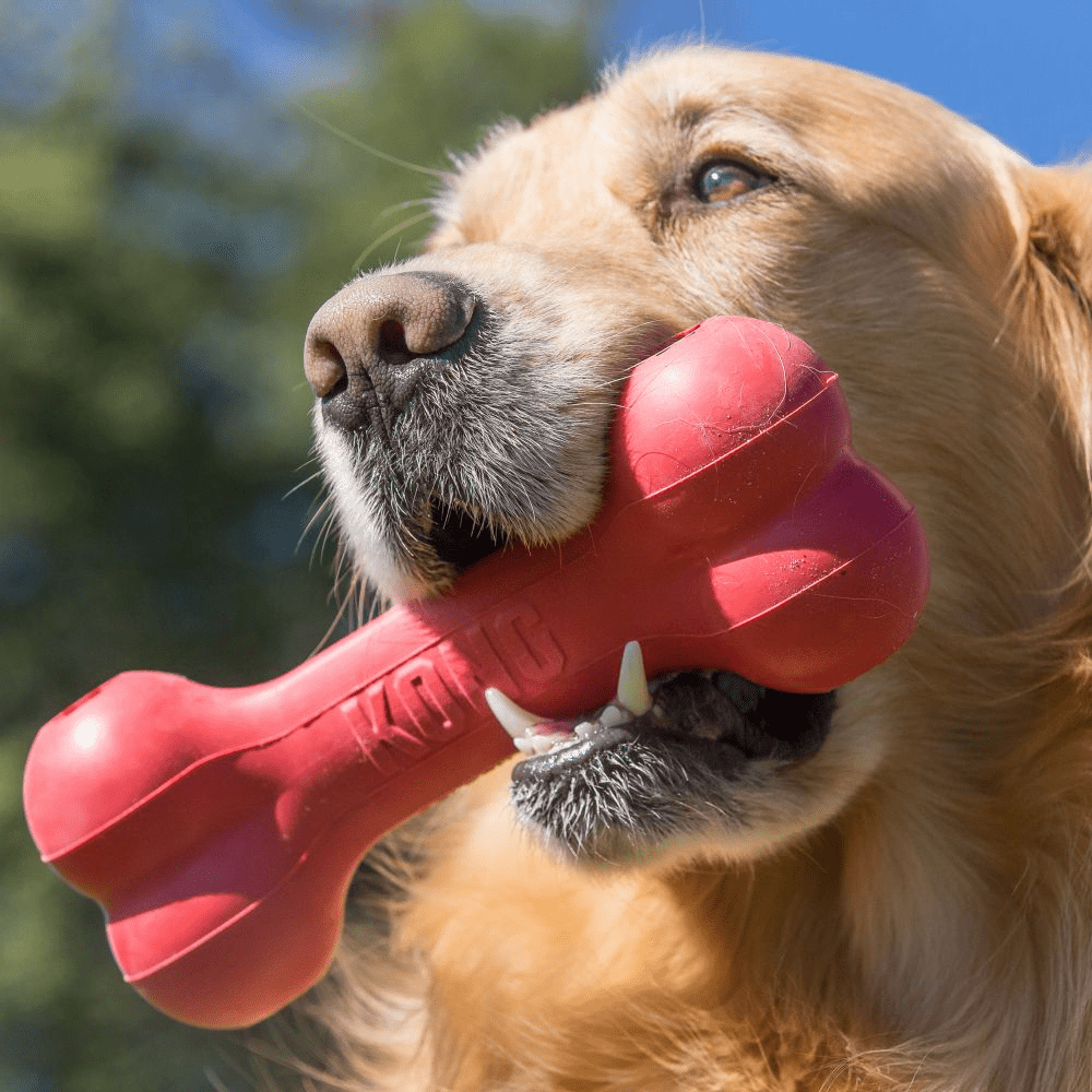 Kong Goodie Bone Toy for Dogs | For Aggressive Chewers image 6