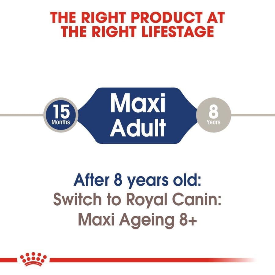 Royal Canin Maxi Adult Dog Wet Food image 5